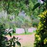 images/Schweden/Schweden 2009/IMG_4473.jpg
